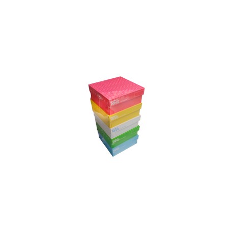 Caja de cartón criogénica. Modelo 90-8281