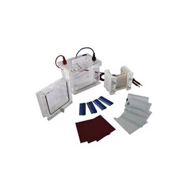 Cámara de electroforesis "Mini-Protean". Modelo CS-SCZ4+